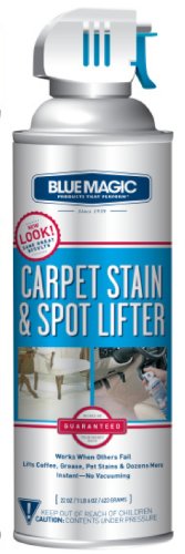 BlueMagic 900 Carpet Stain & Spot Lifter - 22 oz. Aerosol Can