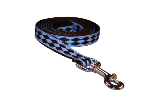 Medium BlueBrown Jester