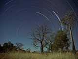 IMAGE OF Star Trails, Kimberley, Western Australia, Australia, Pacific Stretched Canvas Poster Print by Jochen Schlenker, 24x32