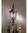 Minka Lavery Outdoor Ardmore 8995-61 Cast Alum 2-LT 120w (23"H x 9"W) Post Lighting in Vintage Rust