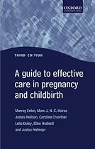 Guide to Effective Care in Pregnancy and Childbirth (Oxford Medical Publications)