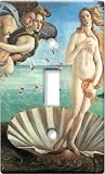 Decorative: Single Toggle Switch Plate