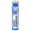 Boiron Homeopathic Medicine Aesculus Hippocastanum, 30C Pellets, 80-Count Tubes (Pack of 5)