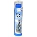 Boiron Homeopathic Medicine Aesculus Hippocastanum, 30C Pellets, 80-Count Tubes (Pack of 5)