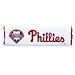 Pool Pads - MLB Team Shoulder Pad