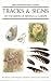 Tracks and Signs of the Birds of Britain and Europe (Helm Identification Guides)