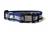 Illumidog Reflective Dog Collar: Blue / Large (18-26 inches)