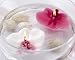 Baby Keepsake: Floating Orchid Candle Pink or White, Set of 4 - Pink