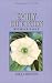 Search : Emily Dickinson: Woman Poet