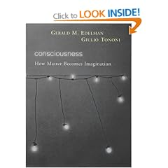 Consciousness: How Matter Becomes Imagination