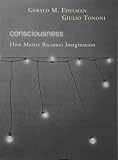 Consciousness: How Matter Becomes Imagination