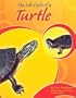 The Life Cycle of a Turtle (Life Cycles)