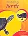 Book The Life Cycle of a Turtle (Life Cycles)