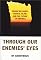 Through Our Enemies' Eyes: Osama bin Laden, Radical Islam, and the Future of America