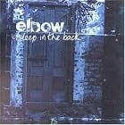 Asleep in the Back by Elbow