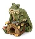 Frog On Toad House (9X7X8.5) Figurine