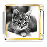 Animal Photo Cat In Black & White Italian Charms Bracelet Link