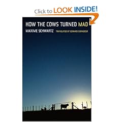 How the Cows Turned Mad