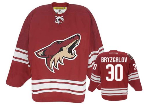 Buy BRYZGALOV #30 Phoenix Coyotes CCM 550 Series Replica NHL Hockey Jersey (NHLPA Certified Custom Sewn...