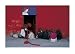 Kitchen & Housewares : Jodhpur India (Red) 1996 by Steve Mccurry. Art Print Poster FRAME IT.. 27.5 inches width by 19.5 inches height. Highest Quality Art Poster Print