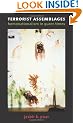 Terrorist Assemblages: Homonationalism in Queer Times (Next Wave: New Directions in Women's Studies)