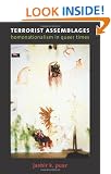 Terrorist Assemblages: Homonationalism in Queer Times