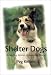 Shelter Dogs: Amazing Stories of Adopted Strays