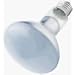WESTINGHOUSE LIGHTING CORP #36402 75W Plant Speciality Bulb