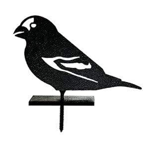 Bird Silhouette