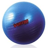 Grizzly Fitness 8101-27 25.6″ Anti Burst Training Ball- Pack of 6