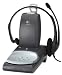Video Games : Logitech 980117 Cordless Phone and PC Headset with Automatic Switch