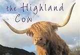 The Highland cow