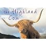 The Highland Cow (Souvenir Guide)