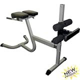 Valor Fitness Hyper Extension Pro