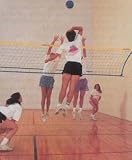 WallyBall Set