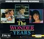 Music From The Wonder Years: 5 Disc Set (1983-93 Television Series)