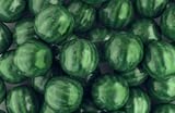 Gumballs Wicked Watermelon