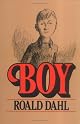 Boy: Tales of Childhood