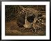Close view of the fossilized skull of a Homo erectus found in Java National Geographic Collection Framed Art Poster Print by Kenneth Garrett, 39x31