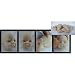Silicone & Vinyl Reborn Doll Kit