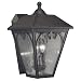 Aztec 89456 3 Light Outdoor Wall Sconce