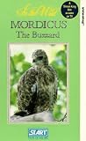 In The Wild - Mordicus The Buzzard [UK IMPORT] - Julia Roberts