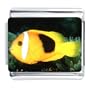 Yellow Clown Fish Italian Charms