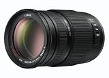 Panasonic Lumix 100-300mm f/4.0-5.6 G Vario Aspherical MEGA OIS Lens for Micro Four Thirds Interchangeable Lens Cameras