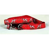 German Shorthaired Pointer - Red Collar and Lead Set
