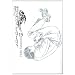 Homunculus, Tome 15 :