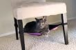 Cat Crib- Purple