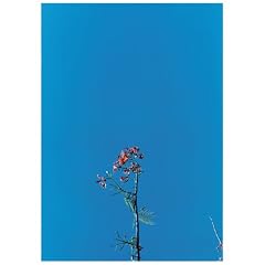 Untitled [Japanese Import]