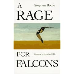 A Rage for Falcons