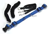 Pet Supplies : Sporn Halter Blue Large